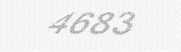 Visual security code — type the characters shown in the image